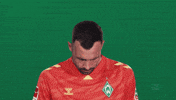 Werder Bremen GIF by Bundesliga
