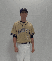 Defibsb GIF by DefianceCollegeAthletics