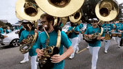 GIF by Coastal Carolina University