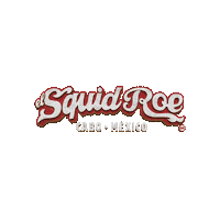 Cabo San Lucas Mexico Sticker by El Squid Roe