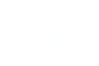 Text Word Sticker