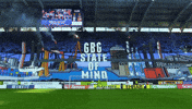 Supporters Blavitt GIF by IFK Göteborg