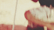 Palibex summer beach verano playa GIF
