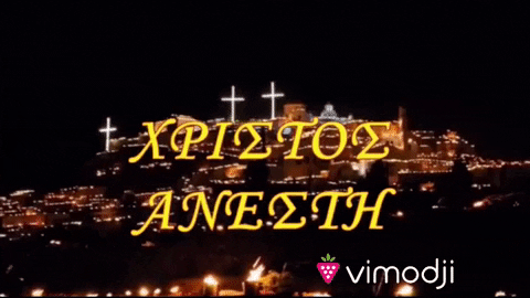 Xristos Anesti GIF by Vimodji