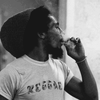 goodtimes GIF by Bob Marley