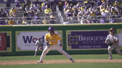 Baton Rouge Baseball GIF by LSU Tigers