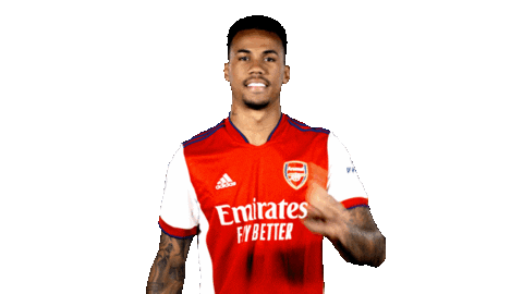 Celebrate London Sticker by Arsenal