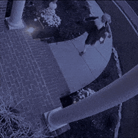 Paul Revere Invasion GIF