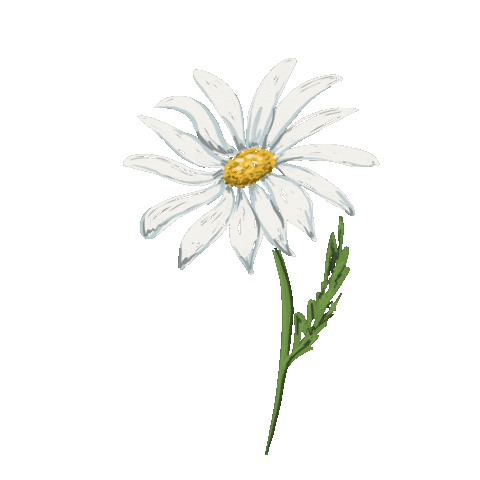 Flower Boho Sticker