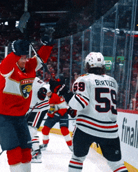 Happy Celebration GIF by Florida Panthers