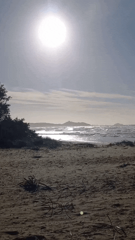 Simongip giphyupload GIF