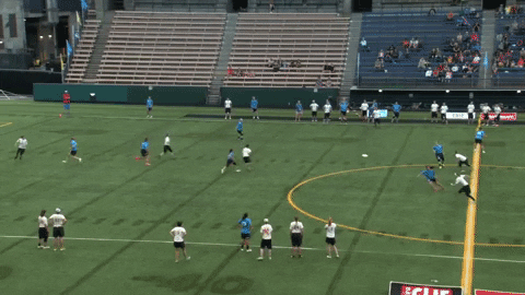 flikulti ultimate frisbee flik GIF