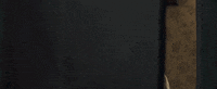 tell it to the bees surprise GIF by Good Deed Entertainment