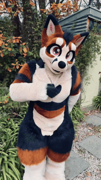 GenericFoxsuit furry fursuit latex rubber GIF