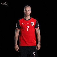 Fifa World Cup Austria GIF by Respective