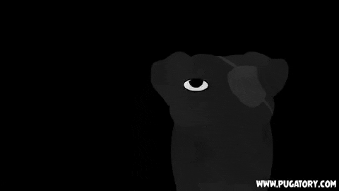 scared dogs GIF by Pugatory