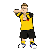 Borussia Dortmund Football Sticker by Bundesliga