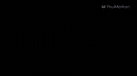 Sports Intro