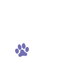 awlqld adopt dont shop paw print awl adopted dog Sticker