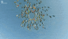 world records falling GIF by NowThis 