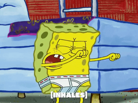 season 5 blackened sponge GIF by SpongeBob SquarePants
