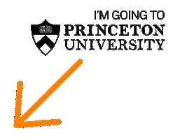 Princeton 2030 Sticker by Princeton University