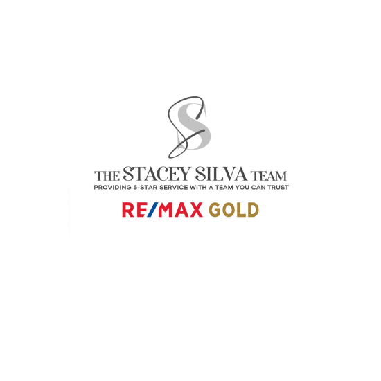 staceysilvateam silva stacey stacey silva murphys Sticker