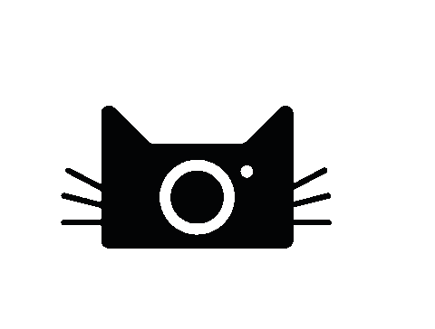 Photography Camera Sticker by Annitography