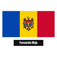 Flag Bandera Sticker by Formación Ninja