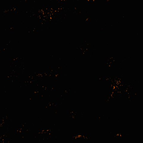 Protesting Black Lives Matter GIF by INTO ACTION