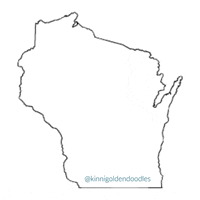 kinnigoldendoodles heart like business shop GIF