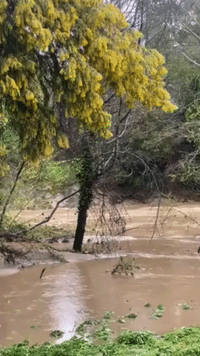 Evacuations in Santa Cruz as San Lorenzo River Floods