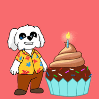 Happy Birthday GIF by BoDoggos