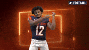 Seatbelt GIF by Carson-Newman Athletics