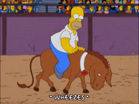 homer simpson donkey GIF