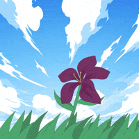 Wine Sky GIF