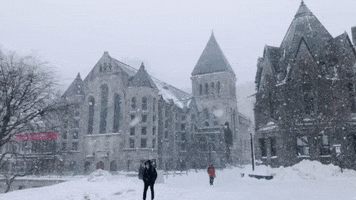 Winter Redpath GIF by McGill University Library