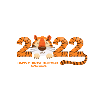 Happy New Year Festival Sticker by 360 Tour Toronto