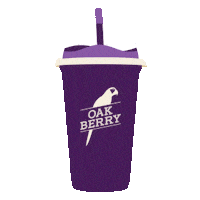 oakberryturkiye drink vegan smoothie bebek Sticker