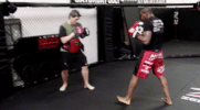 the ultimate fighter ufc GIF