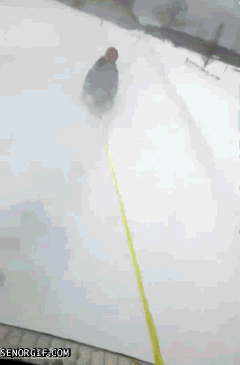 dog sledding GIF by Cheezburger