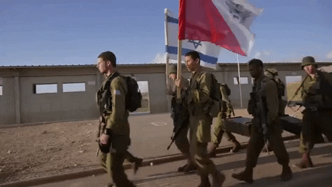 petergunnedea giphygifmaker GIF