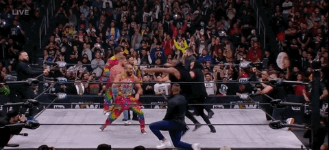 The Elite Wrestling GIF by AEWonTV
