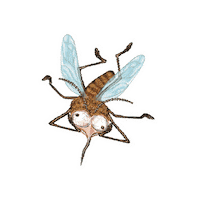 ISP-Zuerisee switzerland schweiz mosquito insects Sticker
