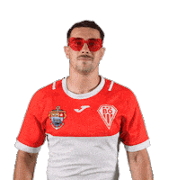 Pro D2 Rugby Sticker by Biarritz Olympique Pays Basque