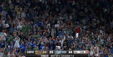 basketball crowd GIF by WNBA
