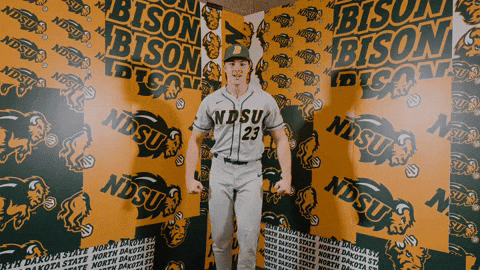 Baseball Bison GIF by NDSU Athletics
