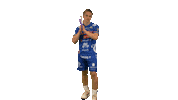 Floorball Salibandy Sticker by F-liiga