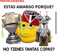 Santos Corinthians GIF