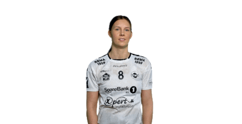 FlintTonsbergHandball giphyupload handball flint tonsberg fossheim Sticker